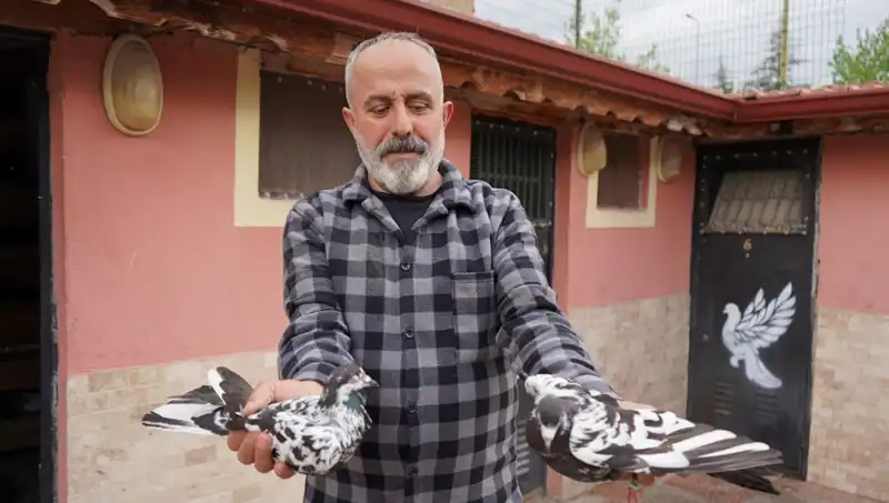 42 Yıllık Hobi, Profesyonel Tesise Dönüştü: İl Dışından Gelen Yoğun Talep