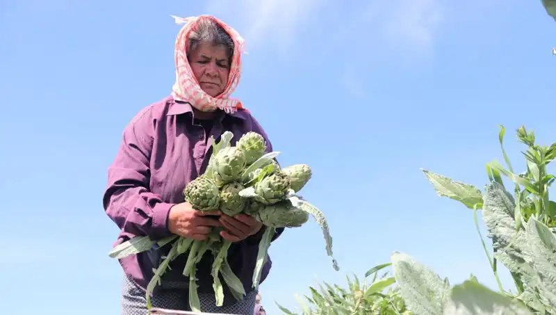 Tarladan Sofralara Gelirken Fiyatlar Uçuşa Geçti: Tezgahlar 50 TL'den Başlıyor!