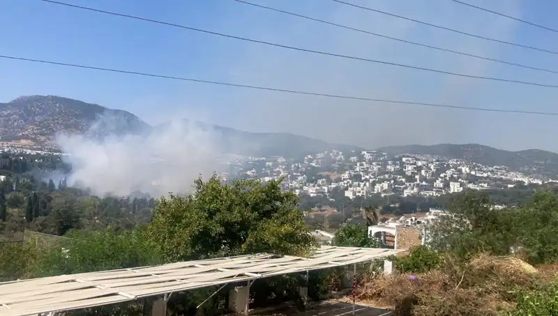 Muğla'daki Orman Yangınları Kontrol Altında, İyi Haberler Geliyor